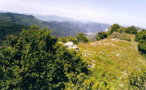 Tontorra