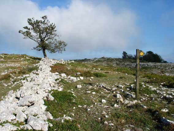 Bidearen marka gainaldean