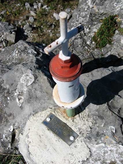 Erdikoatxaren buzoia