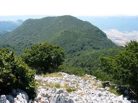 Allarteko tontorretik