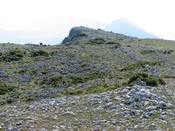 Tontorraren inguruak