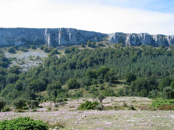 Iparraldeko isurialdea, hegaztien behatokitik