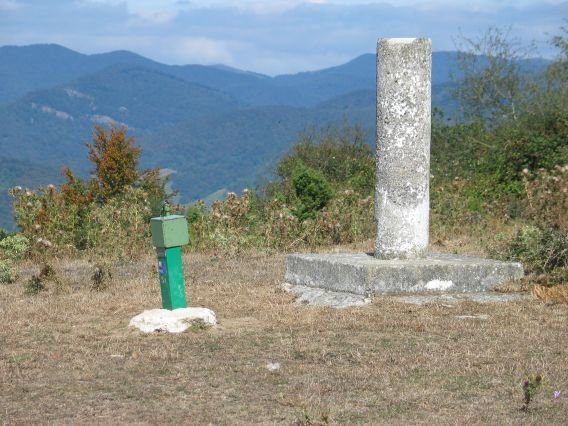 Buzoia eta erpin geodesikoa