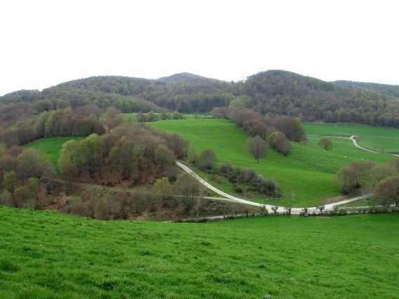 Ireber aldetik ikusita