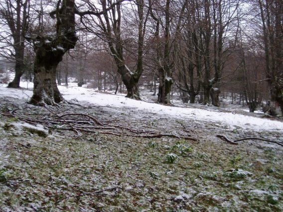 Ugaztegitik Degurixara bidean