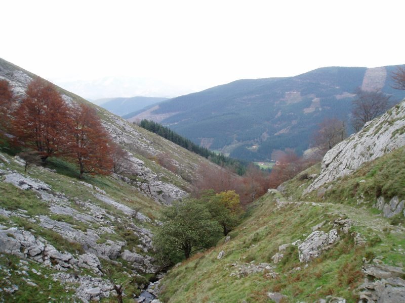 Arrazolatik Zabalaundira igotzen den bidea