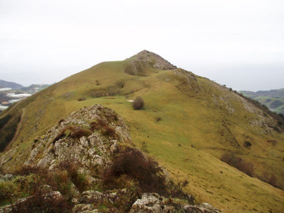 Andutz Saltsamenditik ikusita
