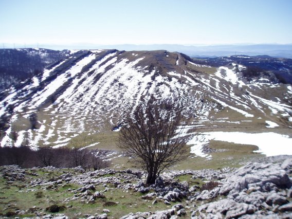 Arangurendik ikusita