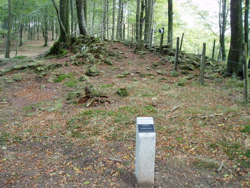 Argonitz trikuharria