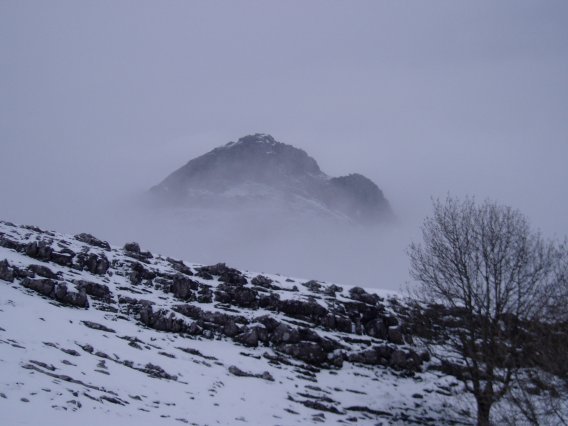 Tontorra laino artean hegoekialdetik ikusita