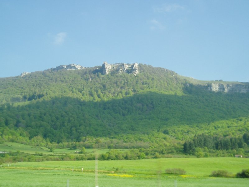 Sakanako autobidetik ikusita