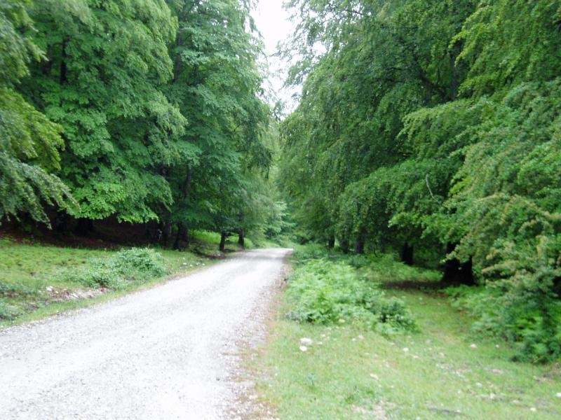 Bioitza eta Lizarragako mendatearen arteko bidea Agileta inguruan