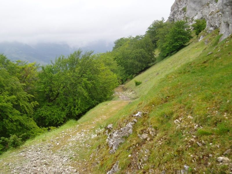 Lizarragako portuko bidea