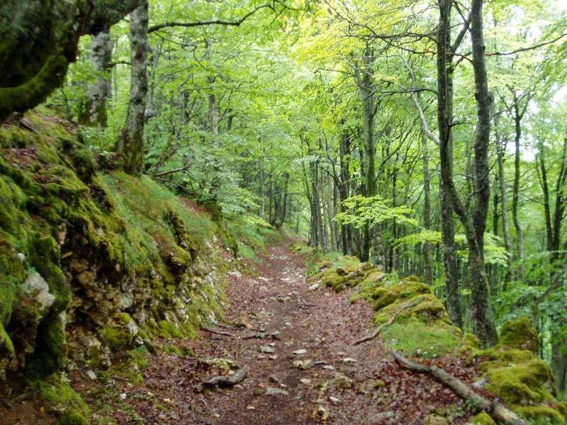 Mendizelaitik Etxarri Aranatz eta Bakaikoara jaisten den bidea