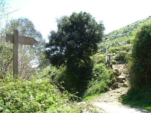 CAMINO A TOMAR DESDE ALLENDELAGUA