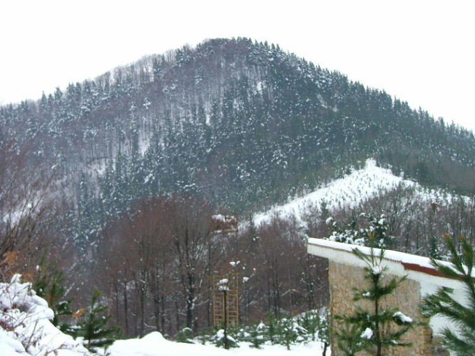 ERDELLA MENDIA ZALDIBARTIK JOANDA