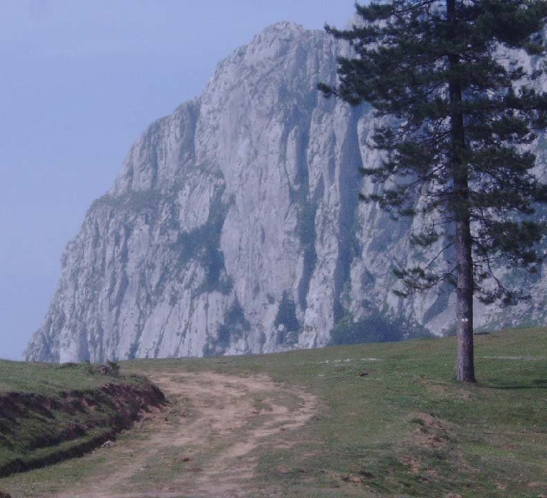 Atzeko bidetik ikusita