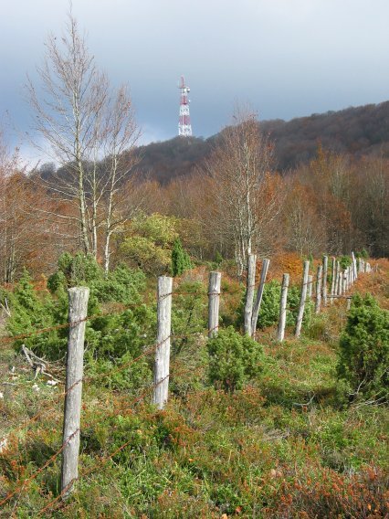 Tontorra mendebaldetik