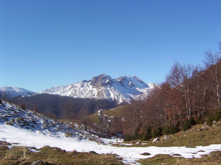 Kartxela Belagua aldetik