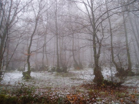 Txara mendebaldeko magalean, Elosuko Benta eta Pol-pol iturriaren arteko bidean