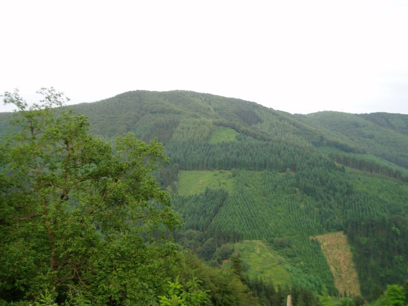 Koskorretatik ikusita, ipar-mendebaldetik