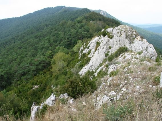 Ekialdeko gandorretik ikusita