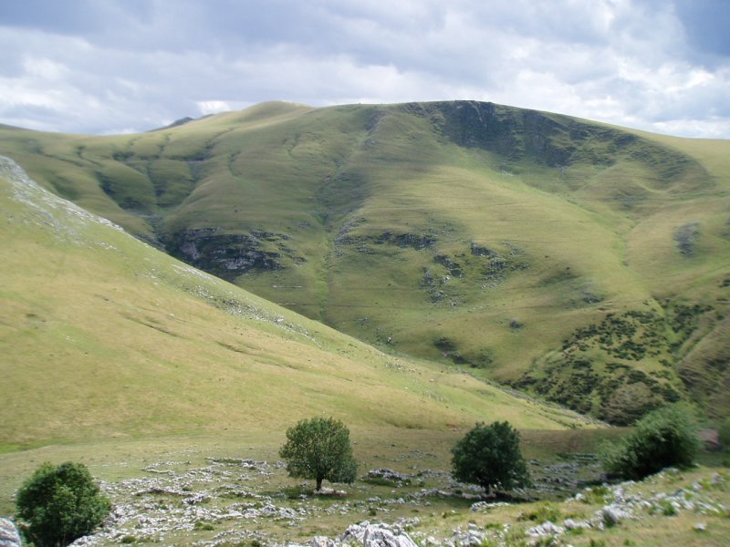 Muitze errekaren goikaldea