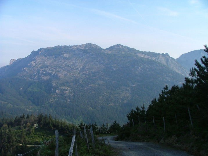 ESKUMAN ARTATXAGAN ETA EZKERREAN LEUNGANE, ERRIALTABASOTIK