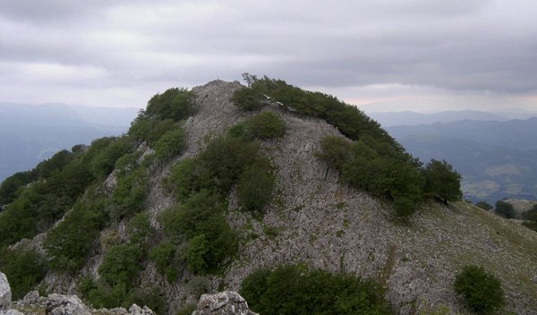 Leungane desde Artatzagan