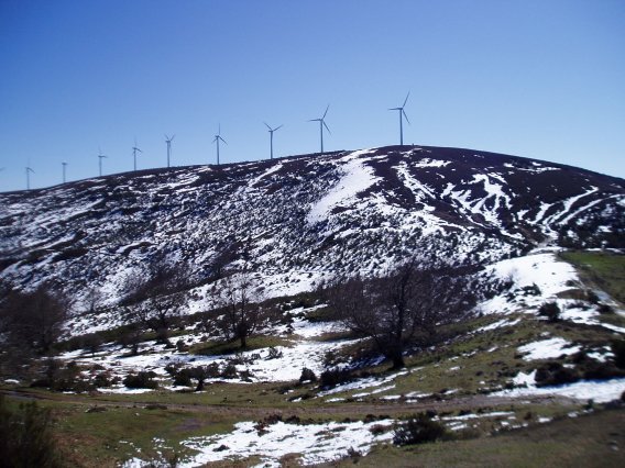 Alabitarteko lepotik ikusita