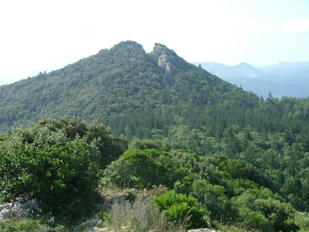 OGO?OREN TONTORRA ATALAIATIK