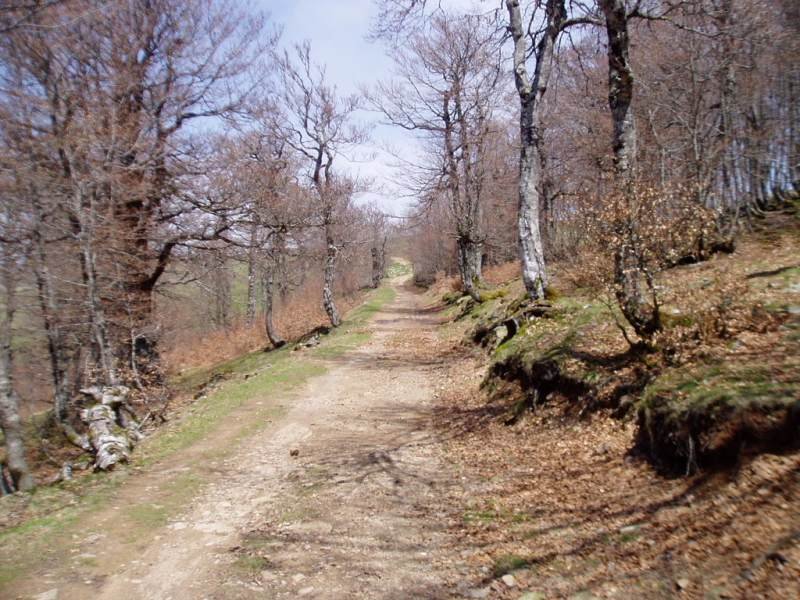 Tontorra mendebaldetik inguratzen duen bidea