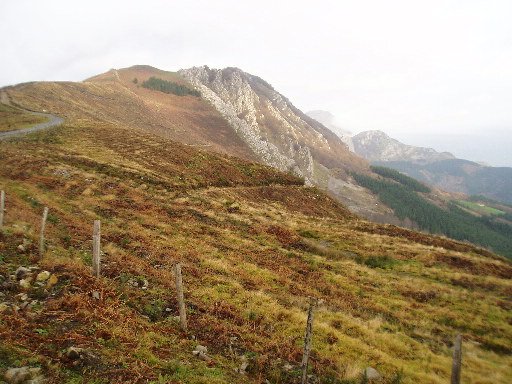Oriol Kurutzetako lepotik igotzen