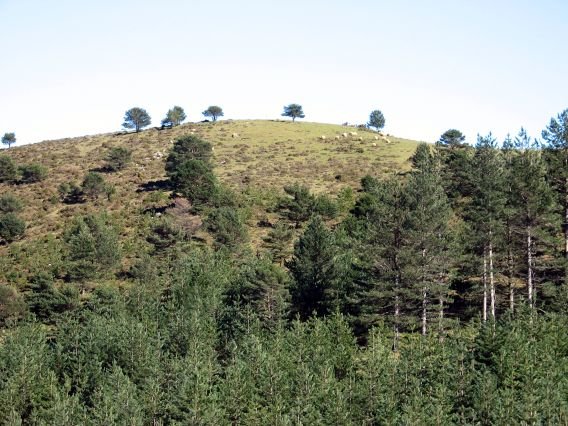 Tontorraren ikuspegia Mtik