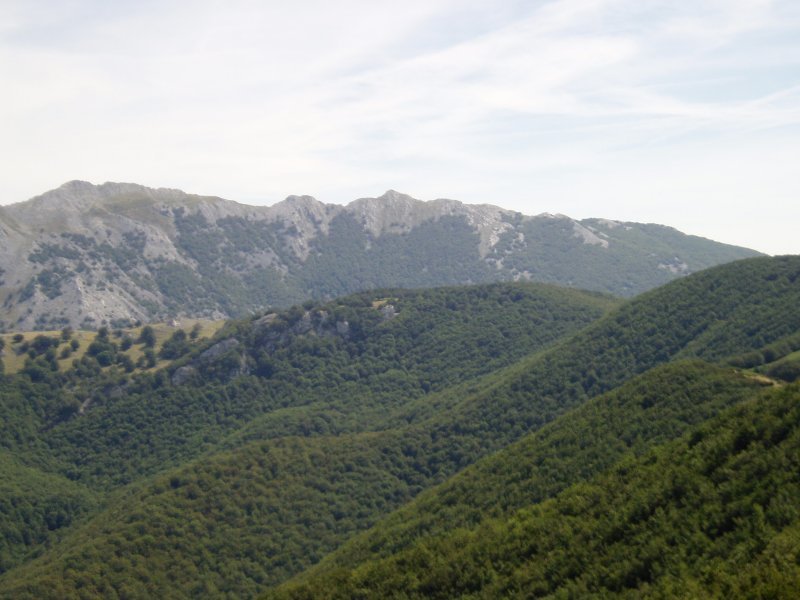 Petrinaitz Zurkuntzetik ikusita; atzean Aizkorri