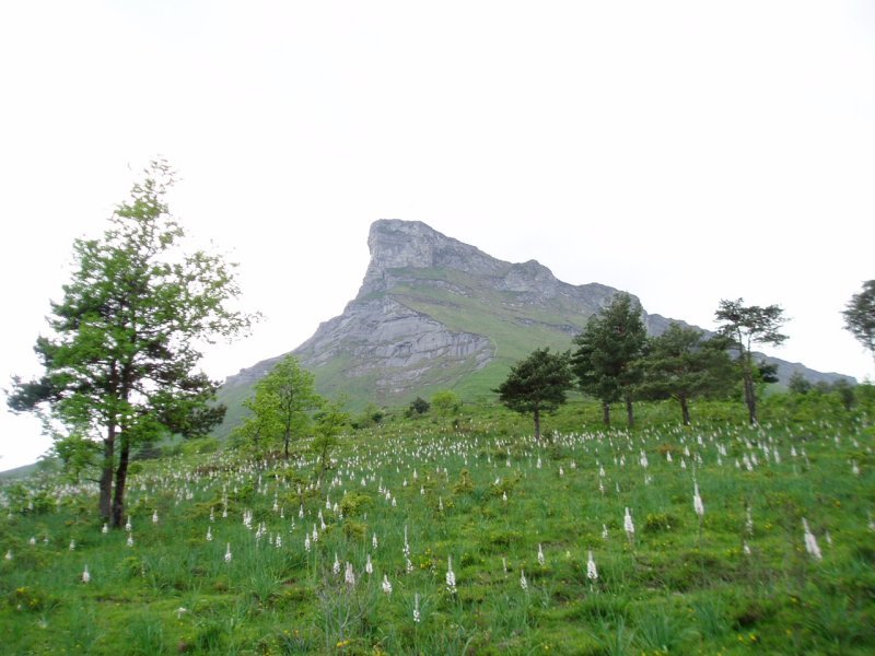 Iparrekialdetik ikusita