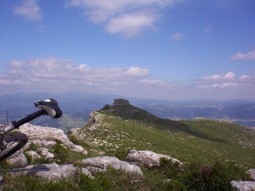 tontorra, ekialdera begira