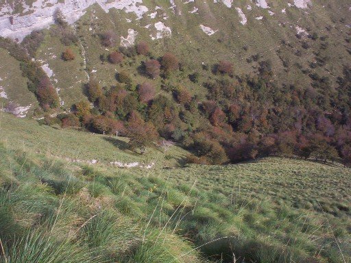 Sendanegratik behera begira