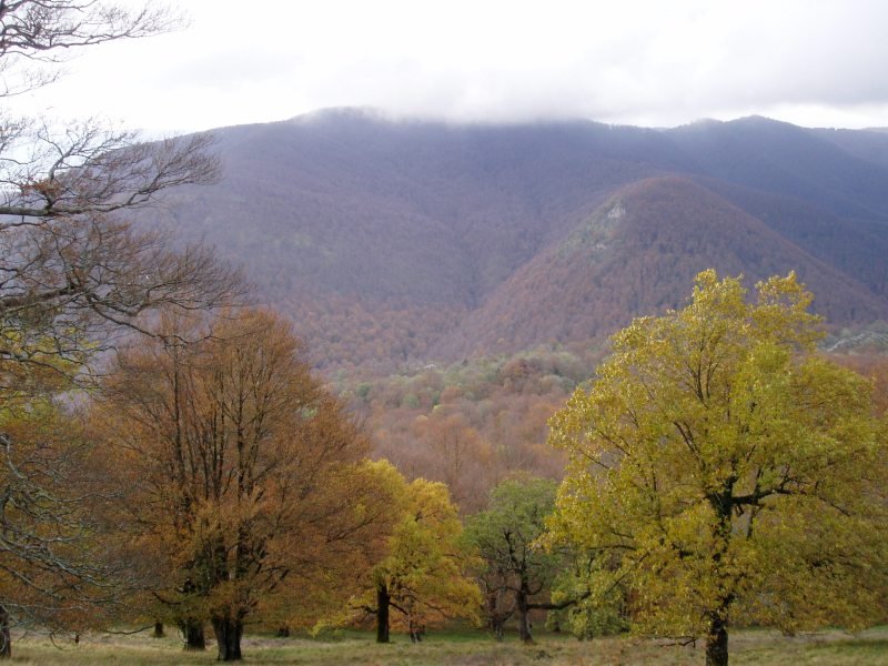 Txaradigorri laino artean Allekoren maldetatik ikusita