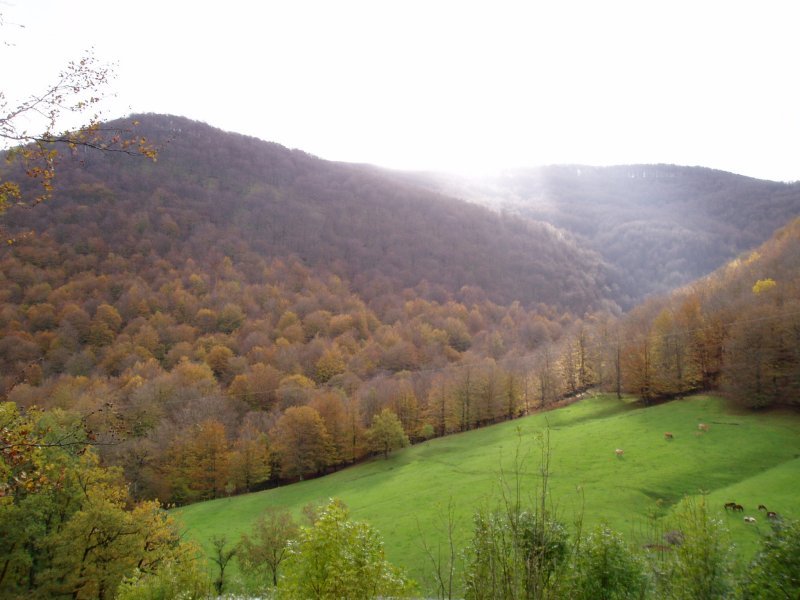 Lizarrusti ingurutik ikusita