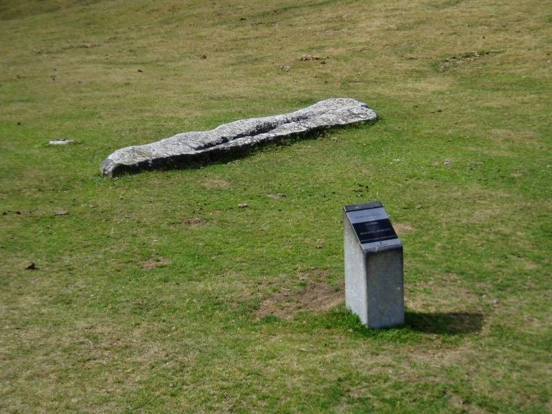 Saltarri zutarria Alotzan