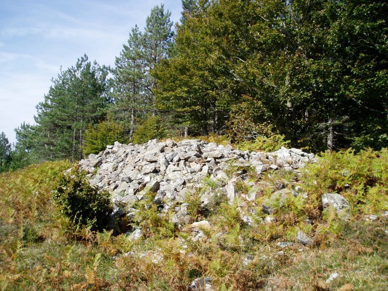 Jentiletxeko tumulua