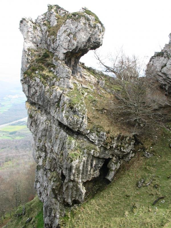 Beste haitz mutur bat amildegiari begira
