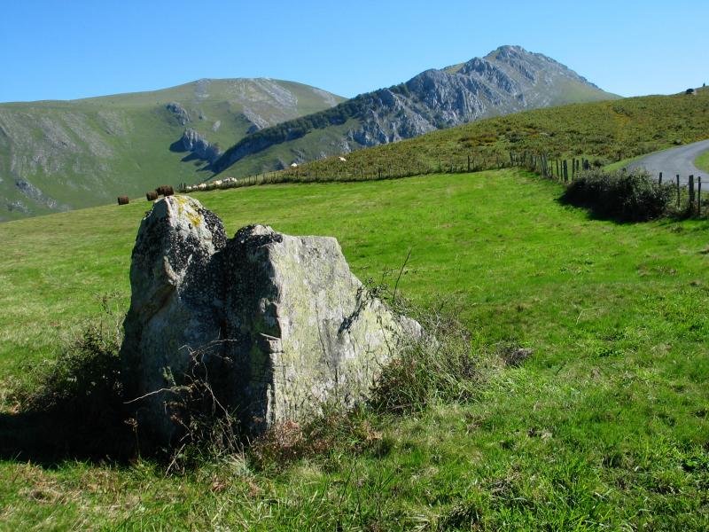 Trikuarria Armiagako hegian