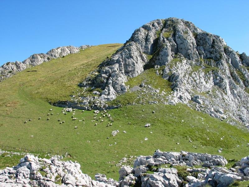 Haritxartetik gorako ikuspegia