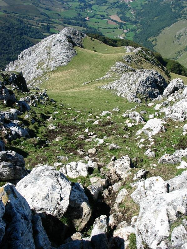 Mendebaldeko gandorra, goitik ikusita