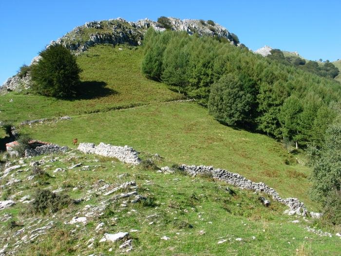 Xoxoteko Azpeitia aldeko gandorra, Naarsun inguruan