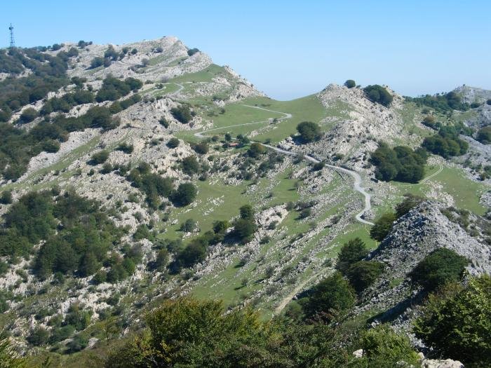 Erlo: Mko isurialdea Kakutatik