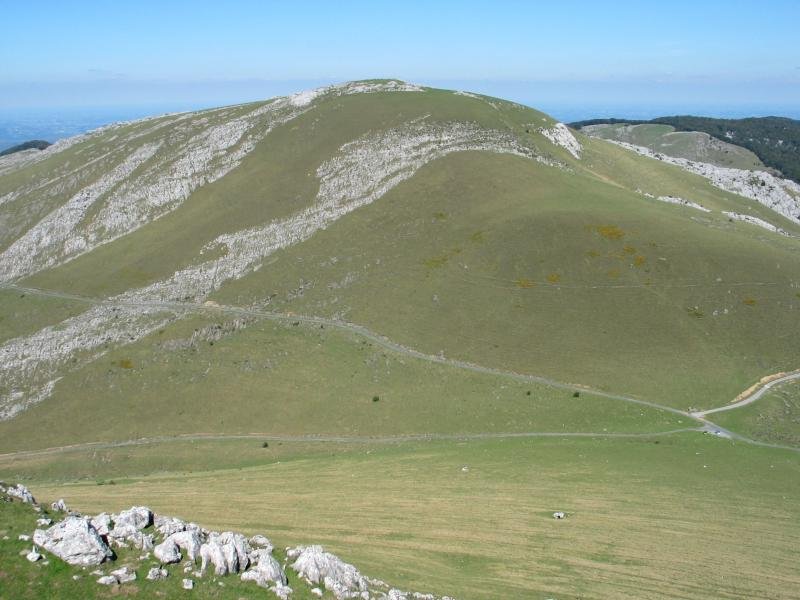 Behorlegitik ikusita