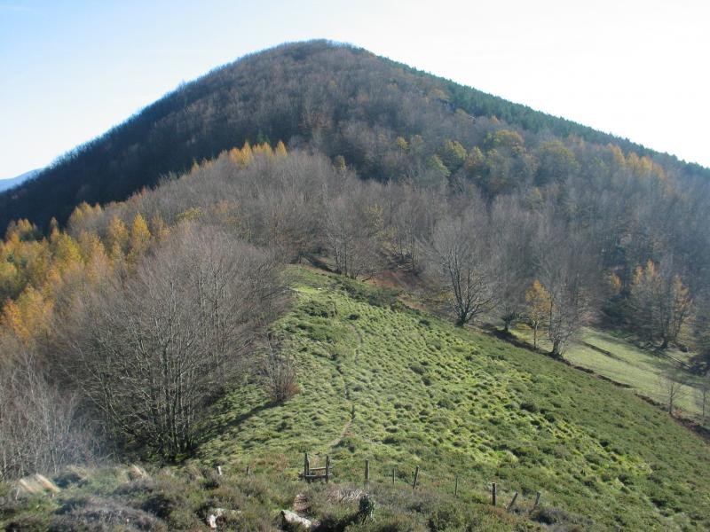 IMko hegitik ikusita